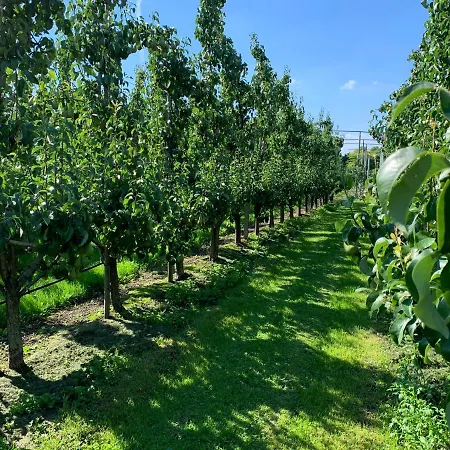 't Pakhuis Bed & Breakfast