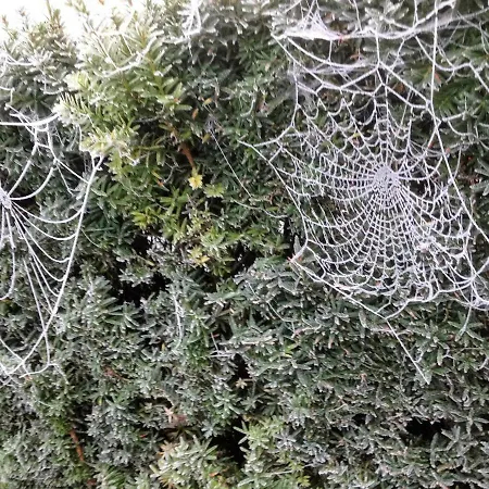 Frühstückspension 't Pakhuis