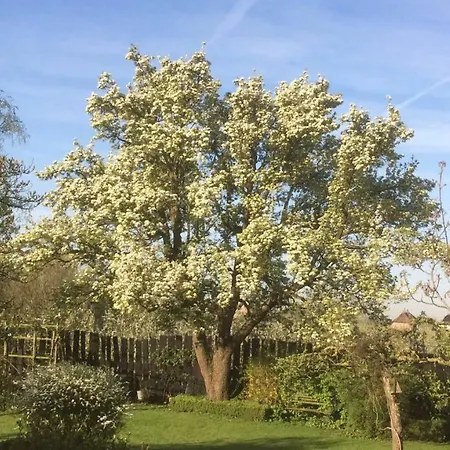 Bed & Breakfast 't Pakhuis 4*