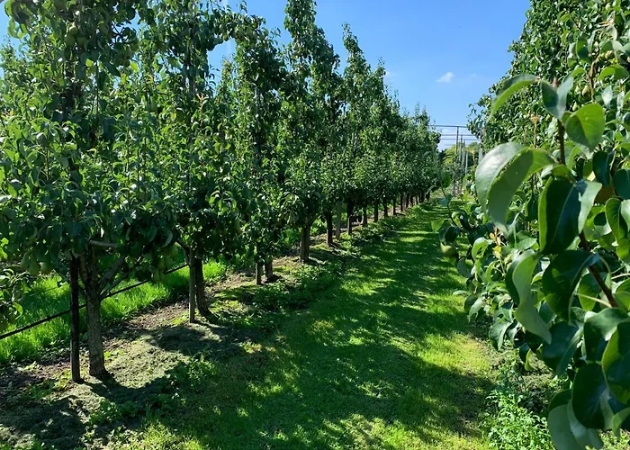 't Pakhuis Bed and Breakfast