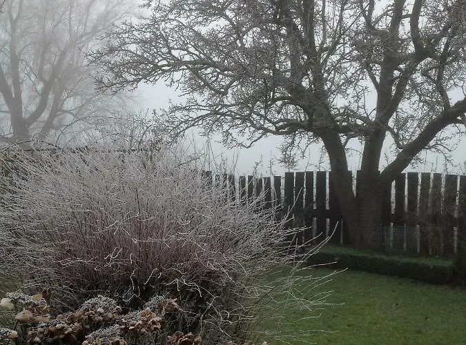 Bed & Breakfast 't Pakhuis Meteren