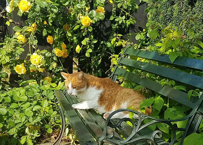 't Pakhuis 4* Meteren