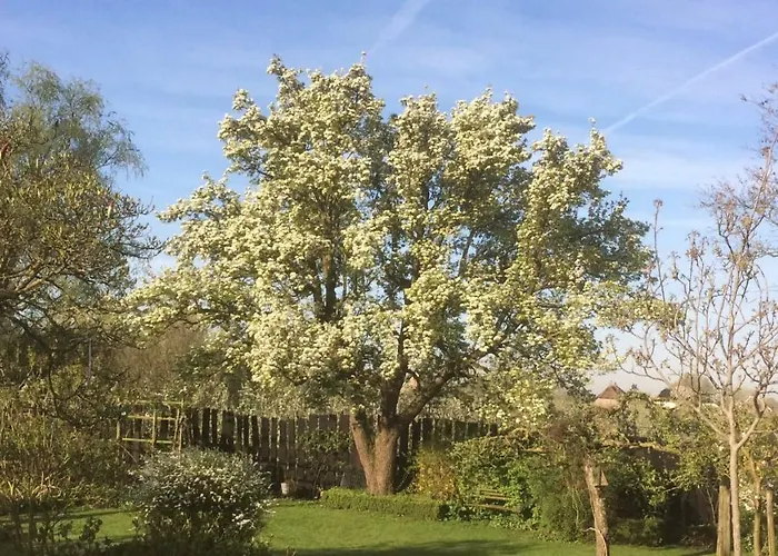 Bed and Breakfast 't Pakhuis 4*