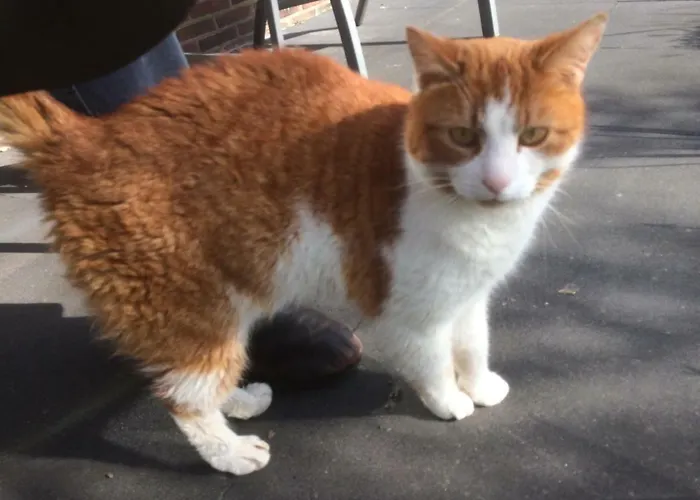 Bed and Breakfast 't Pakhuis 4*