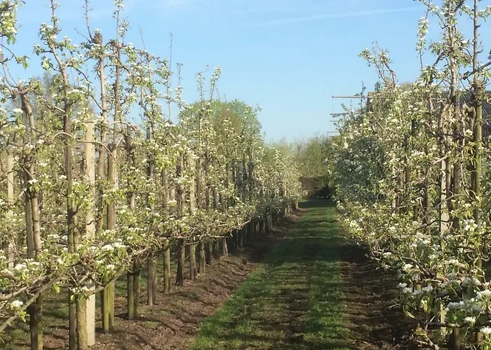 't Pakhuis 4* Meteren