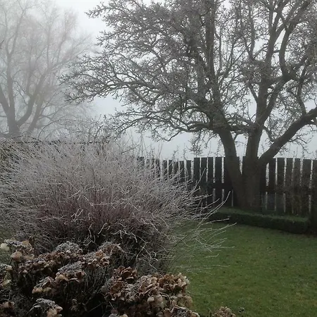 Bed & Breakfast 't Pakhuis Meteren