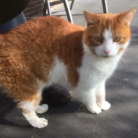 Bed & Breakfast 't Pakhuis 4*