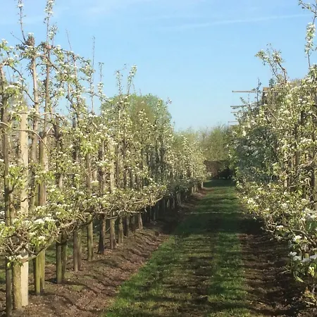 't Pakhuis 4* Meteren